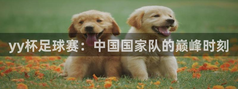 世界杯预选赛欧洲:yy杯足球赛:中国国家队的巅峰时刻