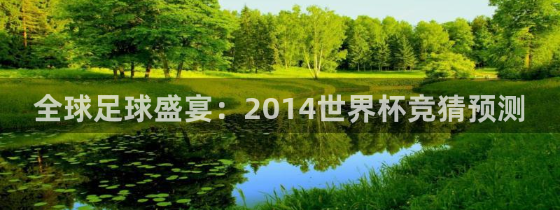 世界杯足球赛:全球足球盛宴:2014世界杯竞猜预测