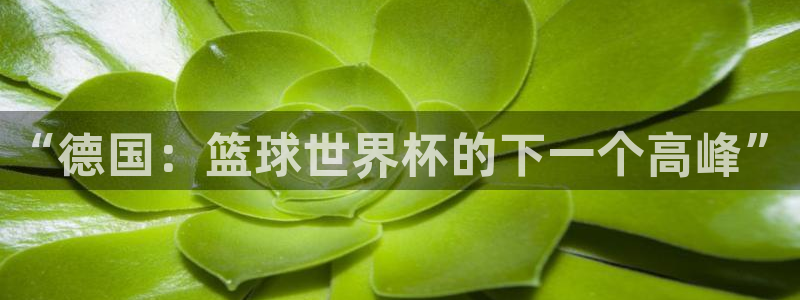 美国世界杯:“德国:篮球世界杯的下一个高峰”