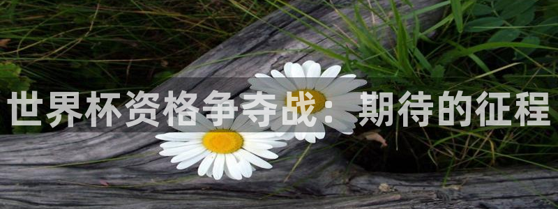 世界杯预选赛赛程时间表:世界杯资格争夺战:期待的征程