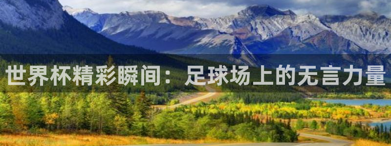 世界杯 中国:世界杯精彩瞬间:足球场上的无言力量